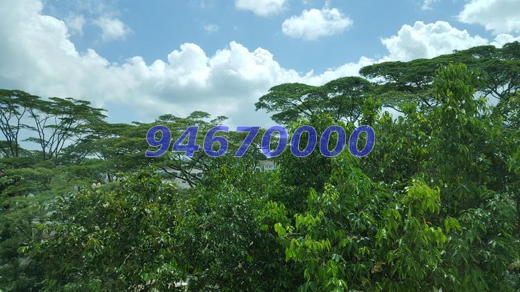 Hillview Heights (D23), Condominium #123544112
